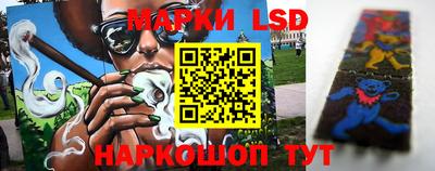 кокс Моздок