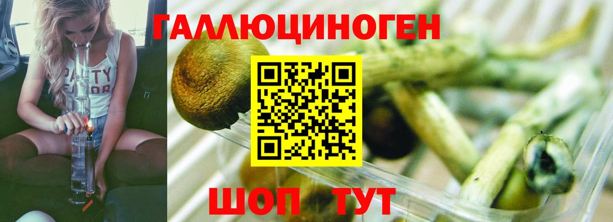 Галлюциногенные грибы Cubensis Ревда