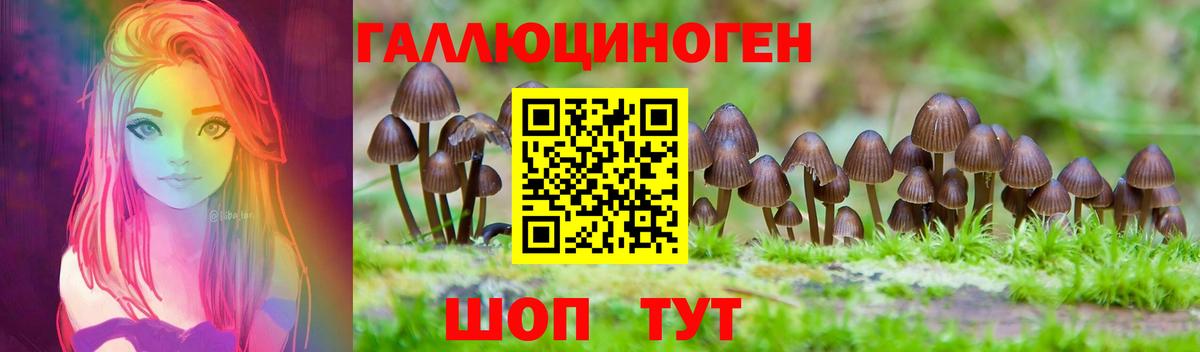 Ревда  где найти наркотики  Вход с VPN  Галлюциногенные грибы прущие грибы 